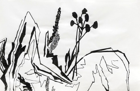 ink on paper drawing