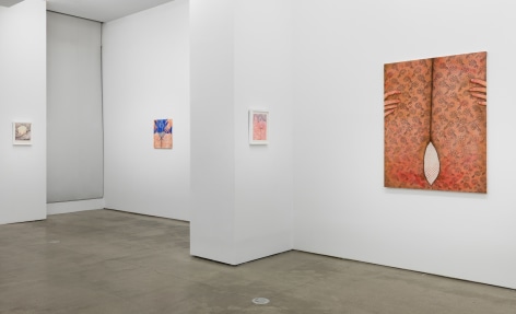 Installation view of exhibition Katarina Riesing, &quot;Razor Burn&quot;