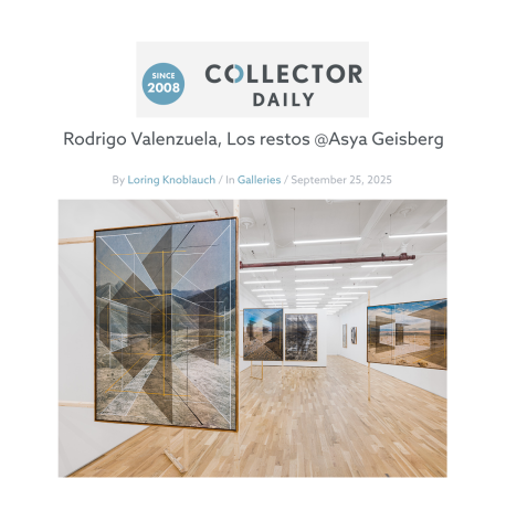 Collector Daily