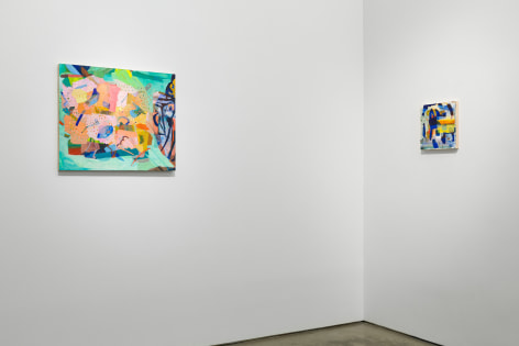 Installation view of Carolyn Case, &quot;Before It Sinks In&quot;