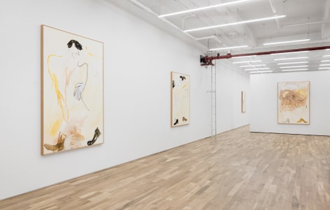 Installation view of Ricardo Gonzalez &quot;Traces&quot;