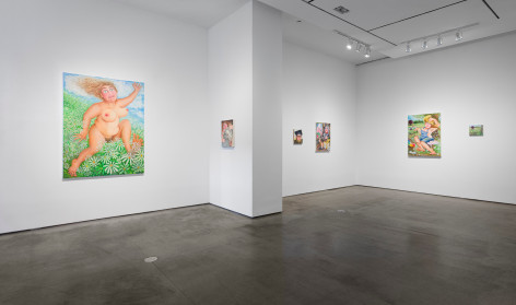 Installation view of Rebecca Morgan &quot;Over the Hill&quot;