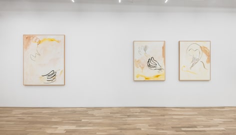 Installation view of Ricardo Gonzalez &quot;Traces&quot;