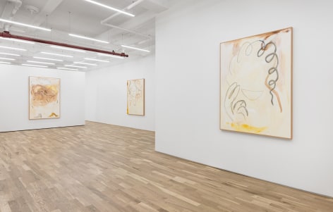 Installation view of Ricardo Gonzalez &quot;Traces&quot;