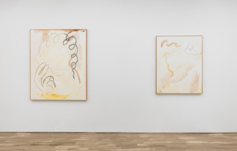 Installation view of Ricardo Gonzalez &quot;Traces&quot;