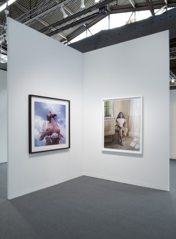 Sean Kelly at The Armory Show 2018