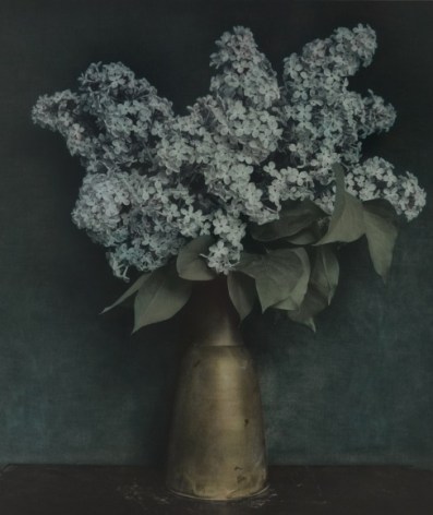Untitled (Lilac), Zechin, 2014, Gelatin silver print with applied oil paint