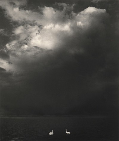 Pentti Sammallahti (b. 1950, Helsinki), Kirkkonummi, Finland, 2016