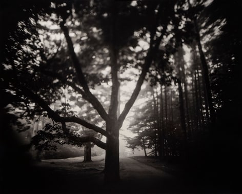 Sumner Wells Hatch (b. 1984, New Hampshire)