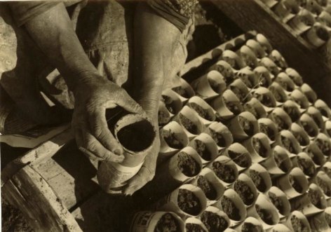 &quot;Tests of Growing Cotton,&quot; 1932