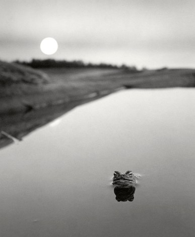 Pentti Sammallahti (b. 1950, Helsinki)