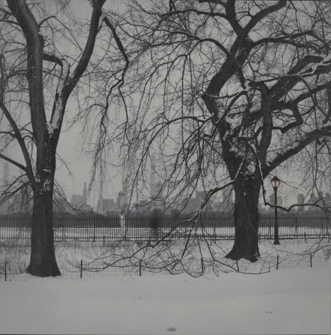 Alexey Titarenko (b. 1962)