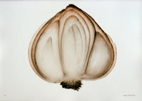 Oignon (Onion), 2002