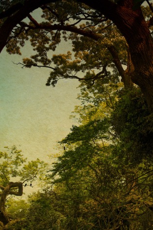 Albarr&aacute;n Cabrera (b. 1969, Spain)