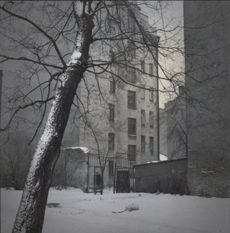 Snow Tree (Kolomna),&nbsp;2005