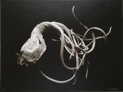 Oignon Blanc (White Onion), 1992, printed 2003