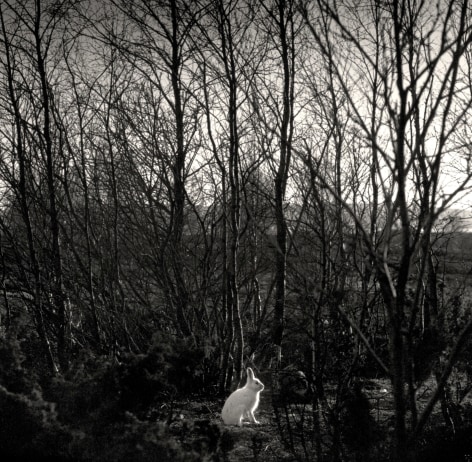 Pentti Sammallahti (b. 1950)