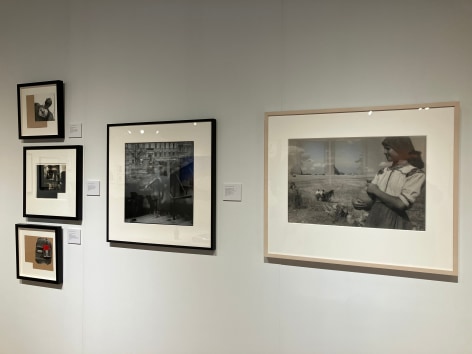 The Photography Show