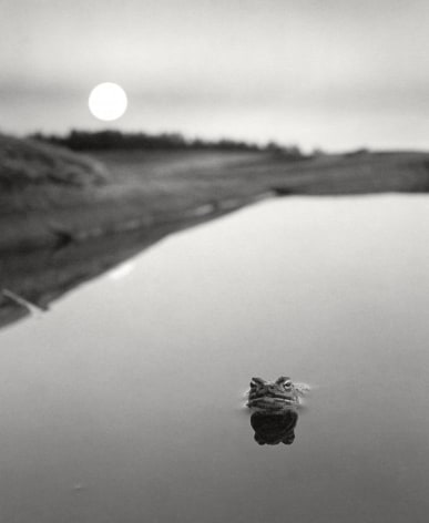 Pentti Sammallahti (b. 1950, Helsinki)