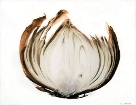 Tranche d'oignon (Slice of onion), 2002