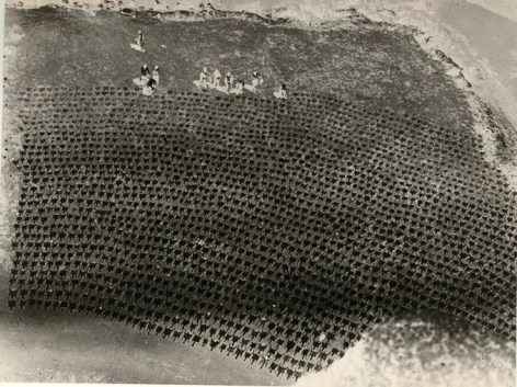 Drying Sheep Skin, 1929