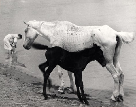 Motherhood, 1938 Gelatin silver print mounted&nbsp;