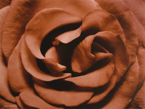 C&oelig;ur de Rose (Heart of Rose),&nbsp;1994, Edition 5/10