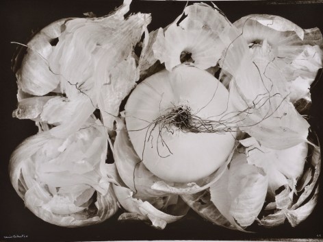 Oignon blanc, fond noir (White onion, black background), 2006