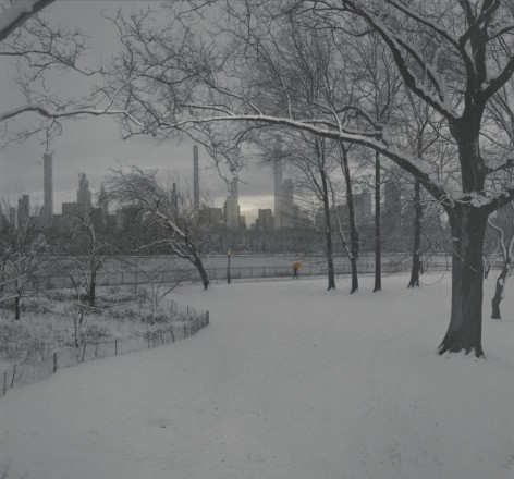 Central Park in Winter, Jacqueline Kennedy Onassis Reservoir, New York, 2024