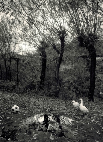 Transylvania, Romania