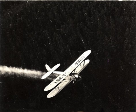 Pollination of Forests, 1934