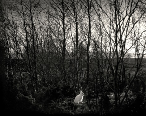 Pentti Sammallahti (b. 1950)