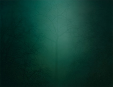 Nicholas Hughes (b. 1963, Liverpool)