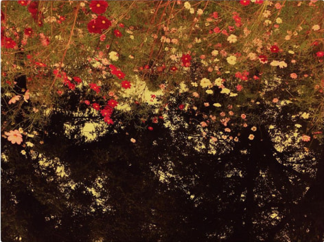 #532 from&nbsp;The Mouth of Krishna, 2016