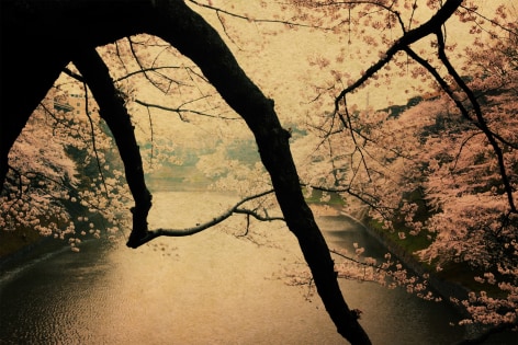 Albarr&aacute;n Cabrera (b. 1969), #278