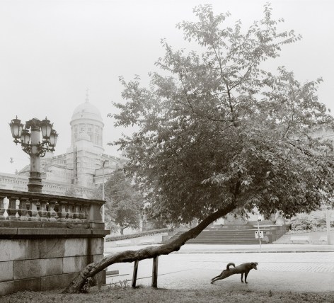 PENTTI SAMMALLAHTI (b. 1950)