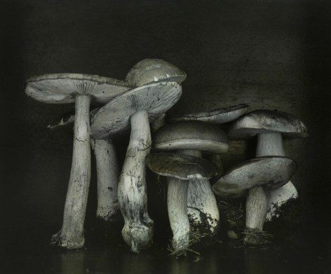 Ingar Krauss (b. 1965, Berlin)