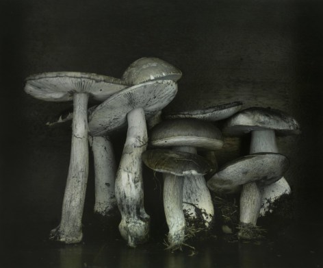 Ingar Krauss (b. 1965)