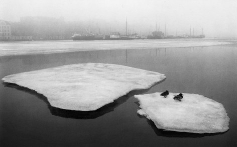 Helsinki, Finland (Ducks on Broken Ice),&nbsp;1973