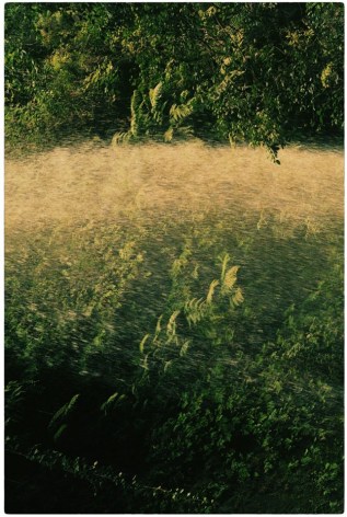 #624 from&nbsp;The Mouth of Krishna, La Palma,&nbsp;2017