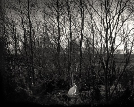 Pentti Sammallahti (b. 1950, Helsinki)