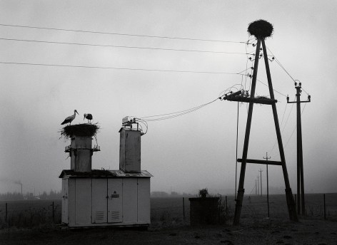 V&ouml;rumma, Estonia