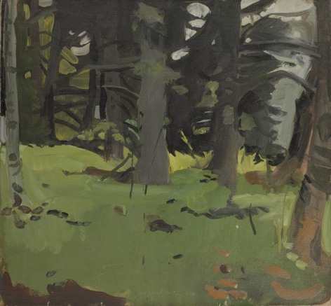 Fairfield Porter, Spruce and Birch, 1964