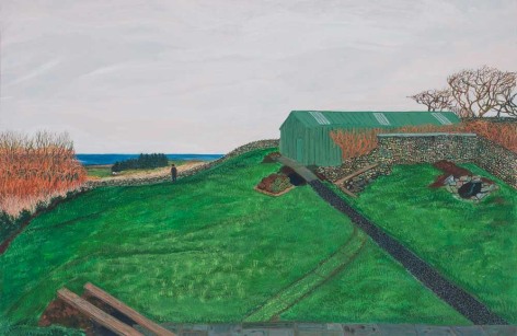 Ballinglen View, 2016