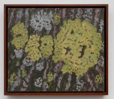 Rudy Burckhardt Lichen and Bark, 1996