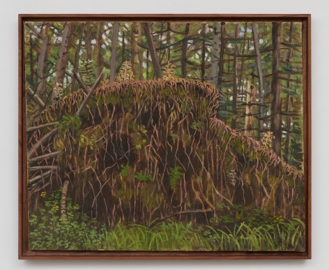 Rudy Burckhardt Fallen Tree, 1997