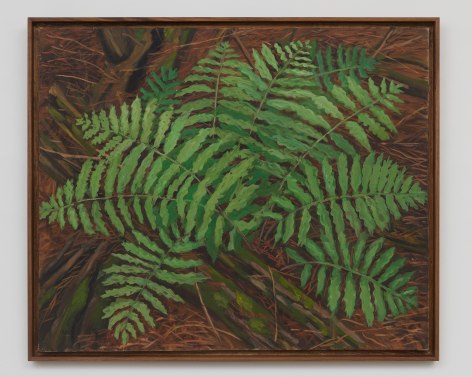 Rudy Burckhardt Big Fern, 1972