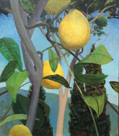 Bramasole Lemon Tree, Cortona, 2016