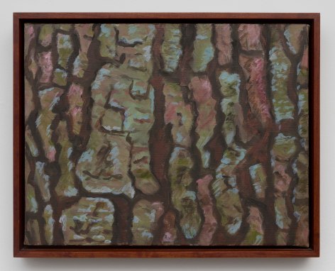 Rudy Burckhardt Bark II, 1996