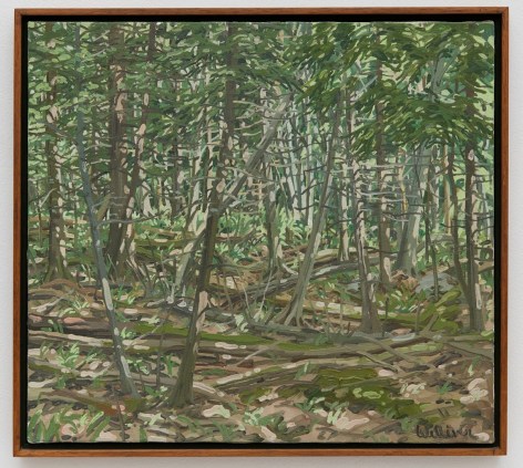 Neil Welliver Study for Polly&#039;s Place, 1982